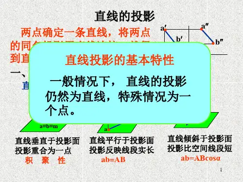 第二节直线的投影-精品.ppt