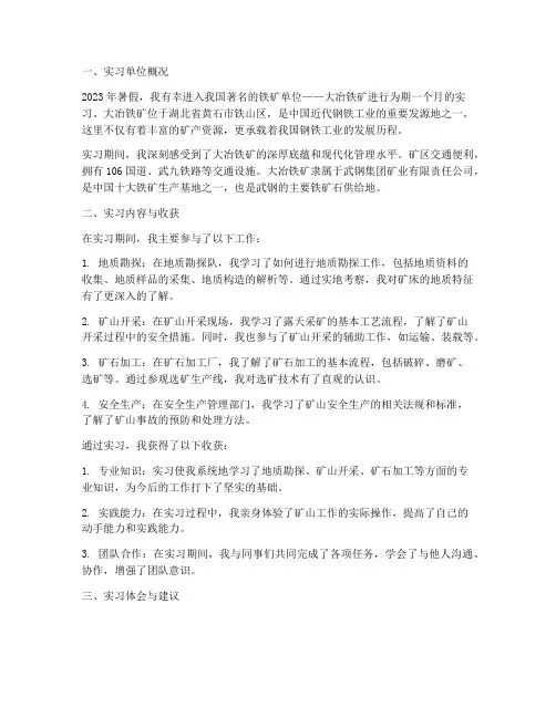 铁矿单位实习报告
