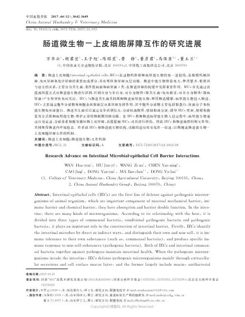 15523665_肠道微生物上皮细胞屏障互作的研究进展