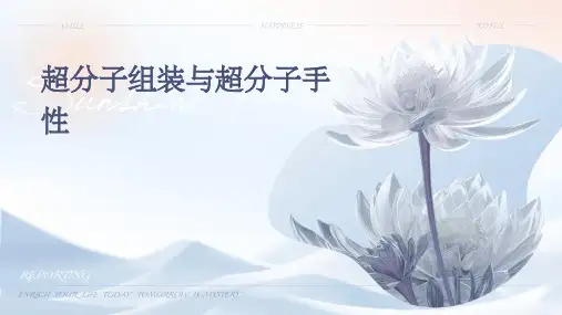 超分子组装与超分子手性