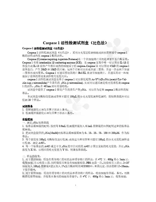 Caspase1活性检测试剂盒比色法