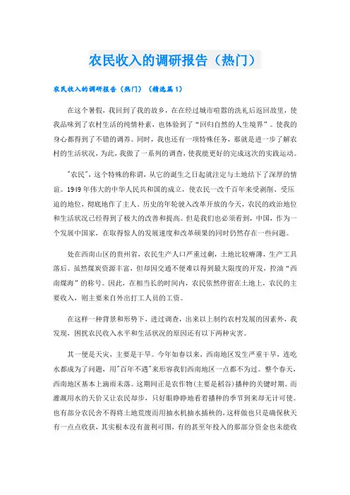 农民收入的调研报告(热门)