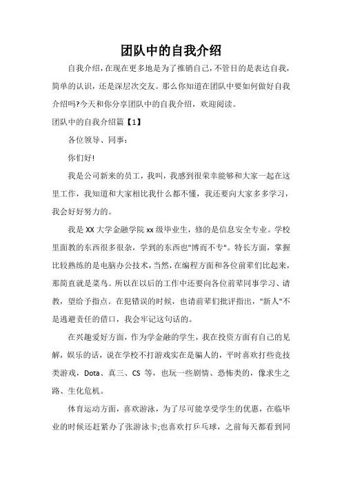自我介绍范文 团队中的自我介绍