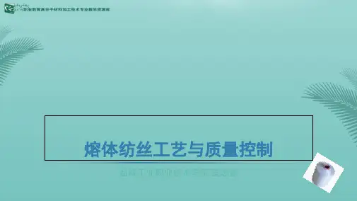 FDY涤纶长丝纺丝工程生产装置的技术特点(“热辊”相关文档)共10张