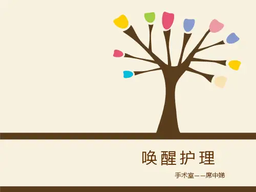 唤醒护理