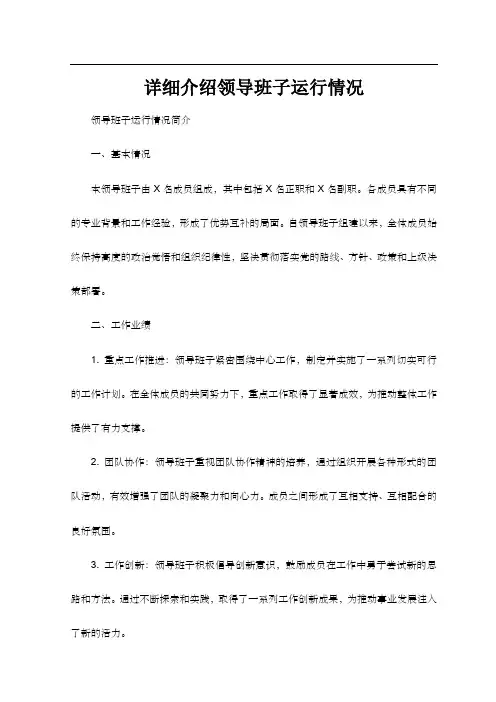 详细介绍领导班子运行情况