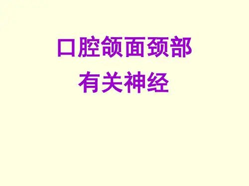 口腔颌面颈部有关神经