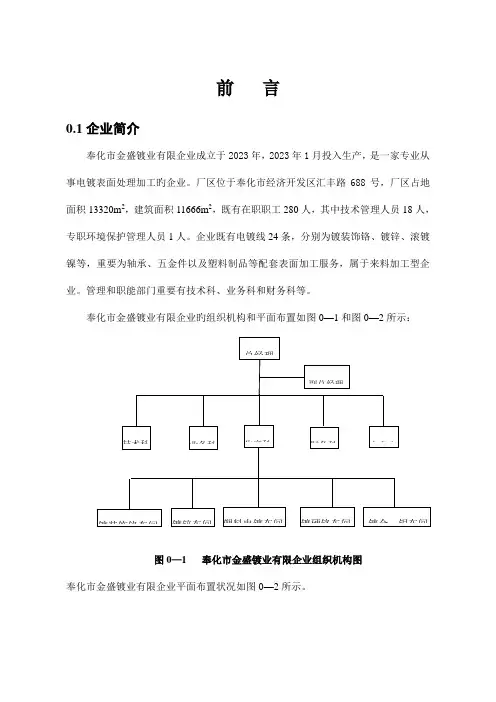电镀行业清洁生产审核报告