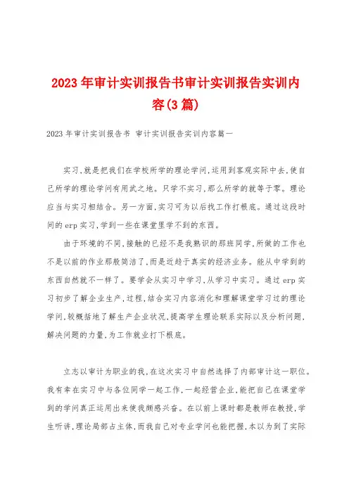2023年审计实训报告书审计实训报告实训内容(3篇)