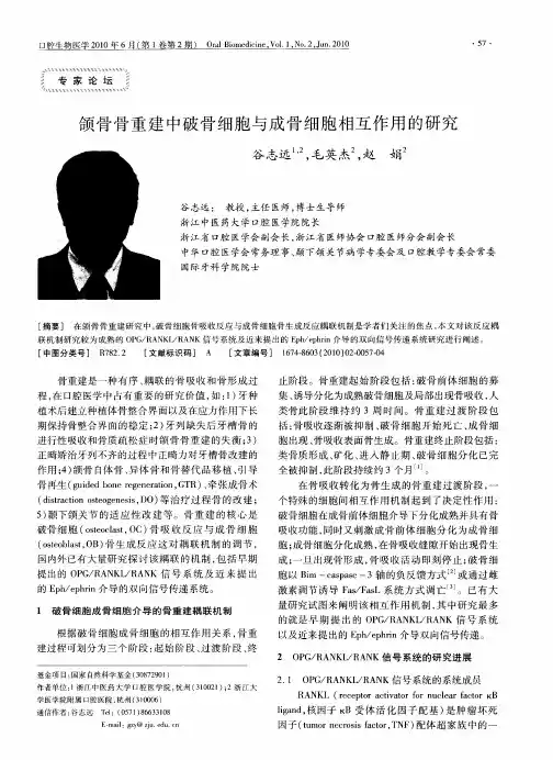 颌骨骨重建中破骨细胞与成骨细胞相互作用的研究