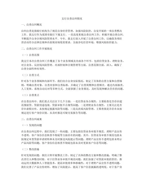 支行自查自纠情况