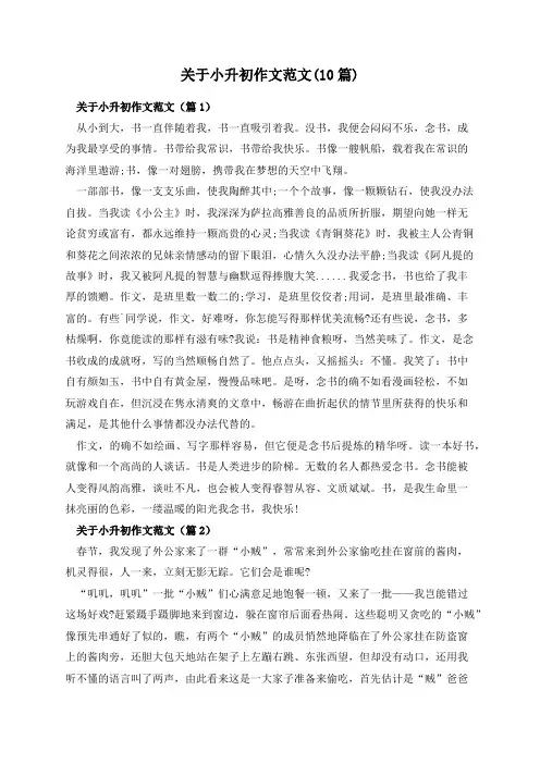 关于小升初作文范文(10篇)