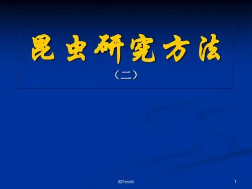 昆虫研究方法-PPT课件