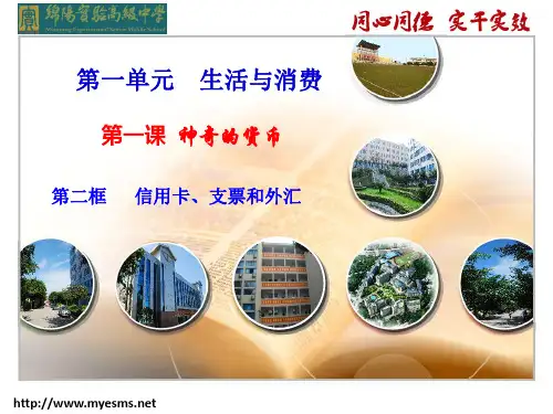 高中思想政治1-1-2信用卡、支票和外汇优秀课件