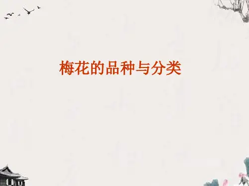 梅花的品种与分类