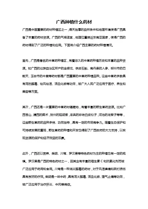 广西种植什么药材