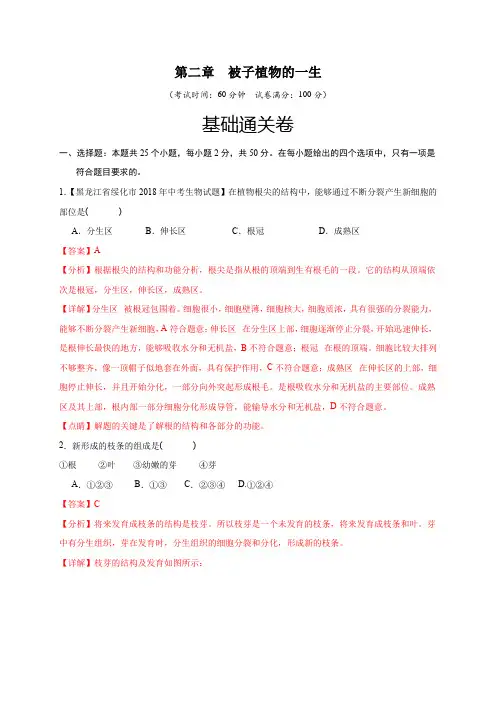第二章 被子植物的一生(基础通关卷)-2024-2025学年七年级生物上册基础与培优过关测试卷(人教