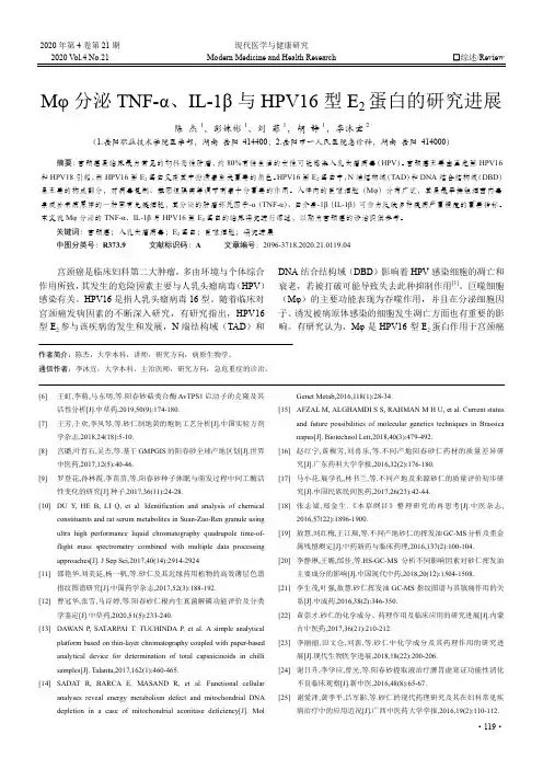 Mφ分泌TNF-α、 IL-1β与HPV16型E2蛋白的研究进展
