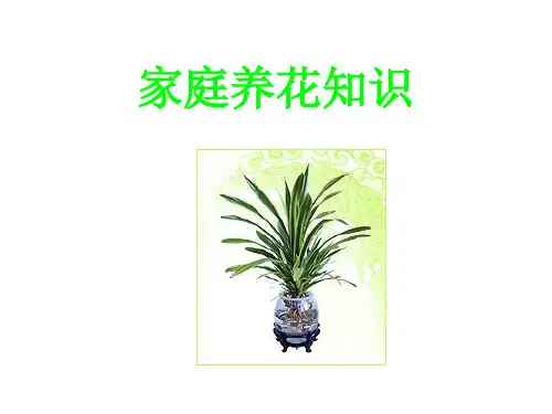 家庭养花知识PPT课件