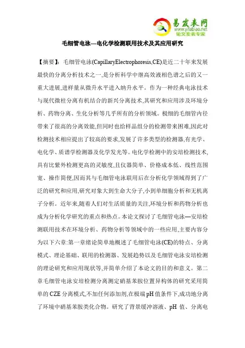 毛细管电泳—电化学检测联用技术及其应用研究