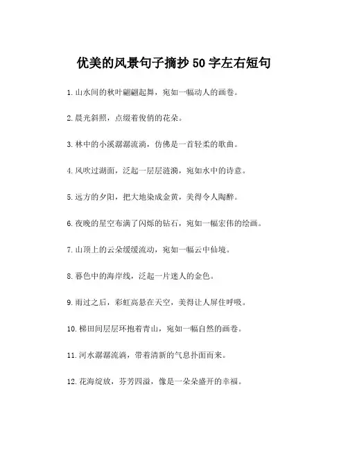 优美的风景句子摘抄50字左右短句