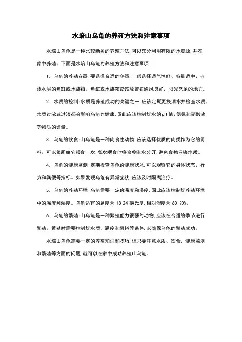 水培山乌龟的养殖方法和注意事项