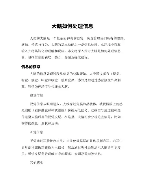 大脑如何处理信息
