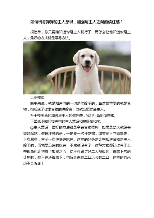 如何培养狗狗的主人意识，加强与主人之间的信任感？