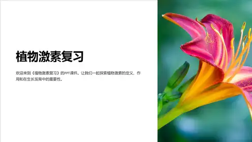 《植物激素复习》课件