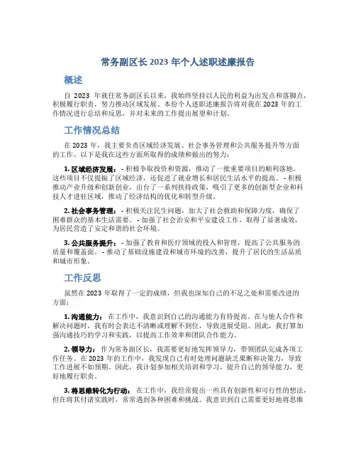 常务副区长2023年个人述职述廉报告