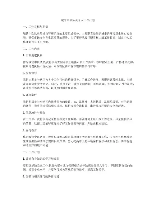城管中队队员个人工作计划