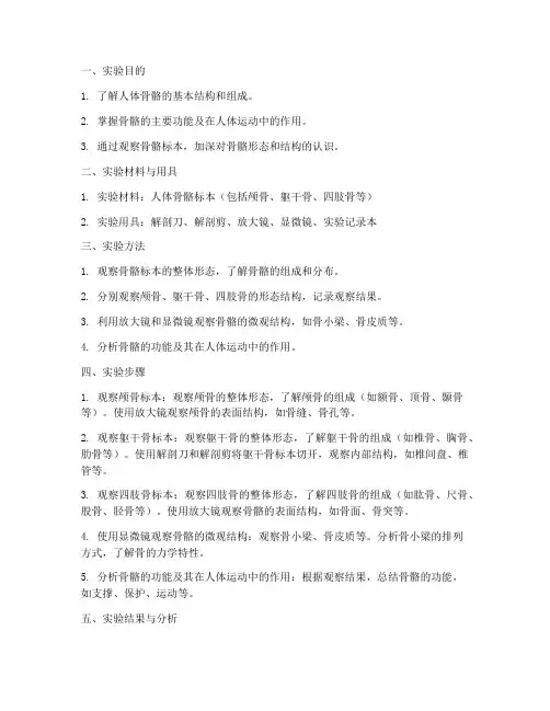 人体骨的实验报告