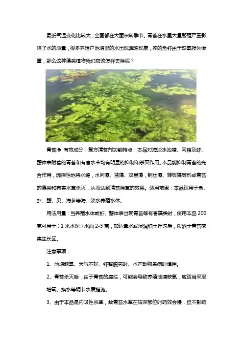 水里长青苔怎么祛除