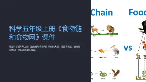 科学五年级上册《食物链和食物网》课件