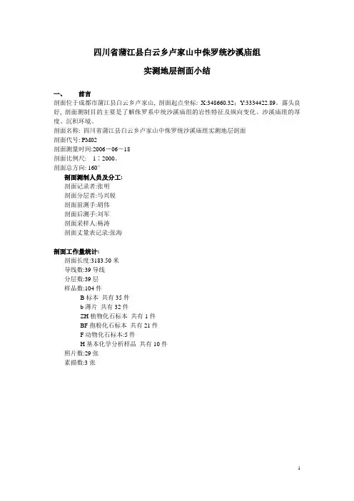 剖面小结范本