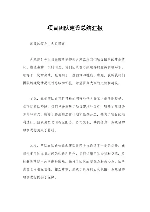 项目团队建设总结汇报
