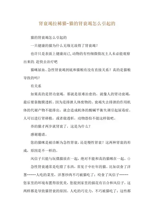 肾衰竭拉稀猫-猫的肾衰竭怎么引起的