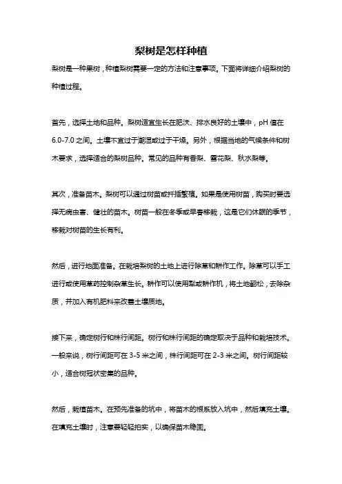 梨树是怎样种植