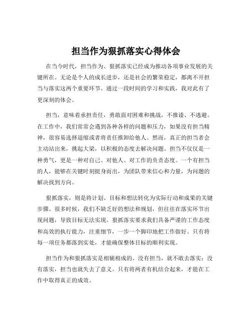 担当作为狠抓落实心得体会