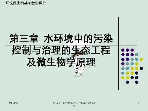 水环境中污染控制与治理生态工程及微生物学原理