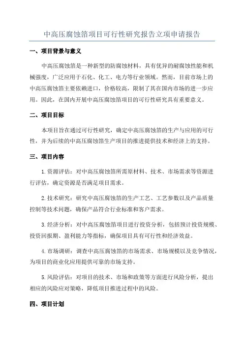 中高压腐蚀箔项目可行性研究报告立项申请报告