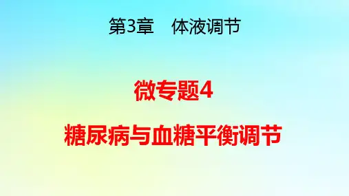 新教材高中生物第3章体液调节微专题4糖尿病与血糖平衡调节pptx课件新人教版选择性必修1