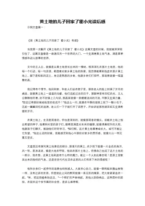黄土地的儿子回家了霍小光读后感