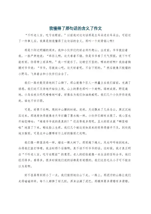 我懂得了那句话的含义了作文
