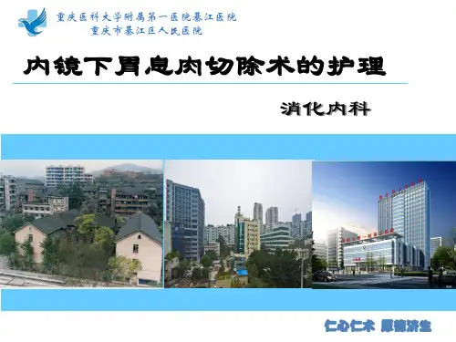 内镜下息肉切除术的护理 ppt课件