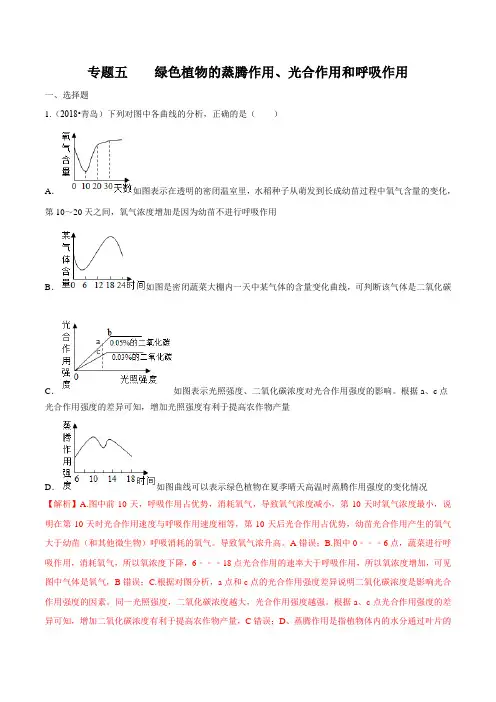 2020中考生物真题分类汇编(山东省)专题05 绿色植物的蒸腾作用、光合作用和呼吸作用(解析版)