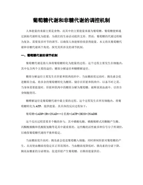葡萄糖代谢和非糖代谢的调控机制
