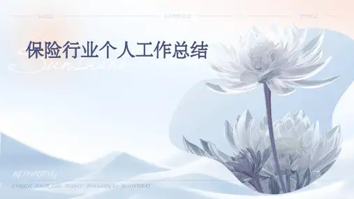 保险行业个人工作总结PPT