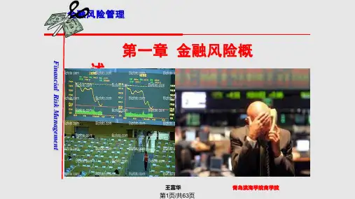 金融风险管理朱淑珍PPT课件