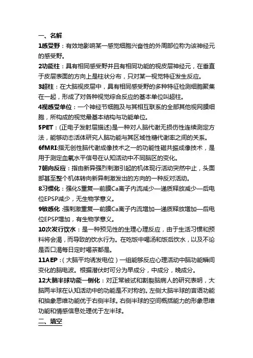 生理心理学完整详解